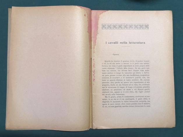 <strong>I cavalli nella letteratura. Conferenza letta in Arcadia il 24 novembre 1910 per la <em>Coltura della Donna</em>.</strong> (Estratto dal Giornale Accademico, anno II, fasc. VII e VIII, serie 7)