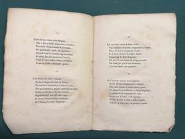 <strong>Il Palio degli Asini.</strong> Poemetto di Modesto Rastrelli fiorentino.