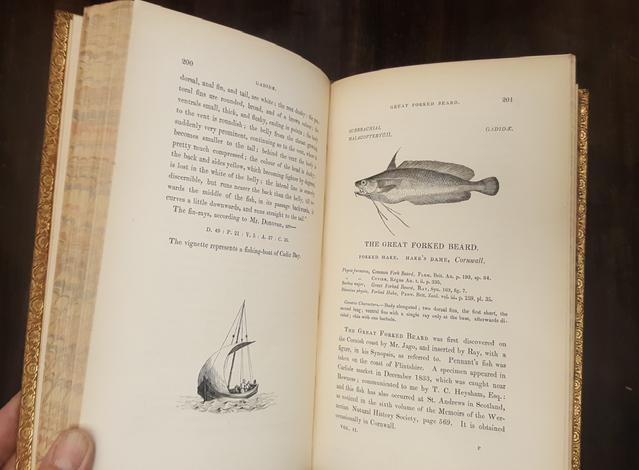 <strong>A history of British Fishes, Birds, Quadrupeds, Reptiles.-</strong> A general outline of the Animal Kingdom...