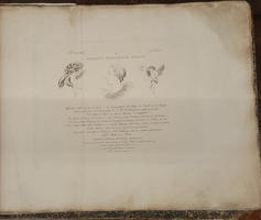 (La Divina Commedia) - Invenzioni di Bartolomeo Pinelli Romano sul Poema di Dante, di propria mano incise.